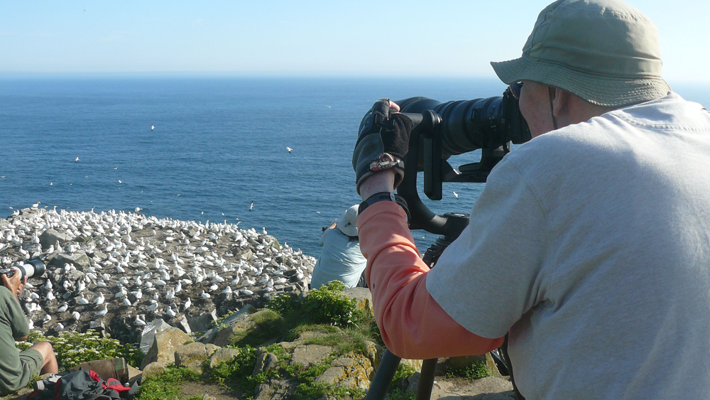 La patience est requise pour obtenir un bon cliché. - Magazine Camper