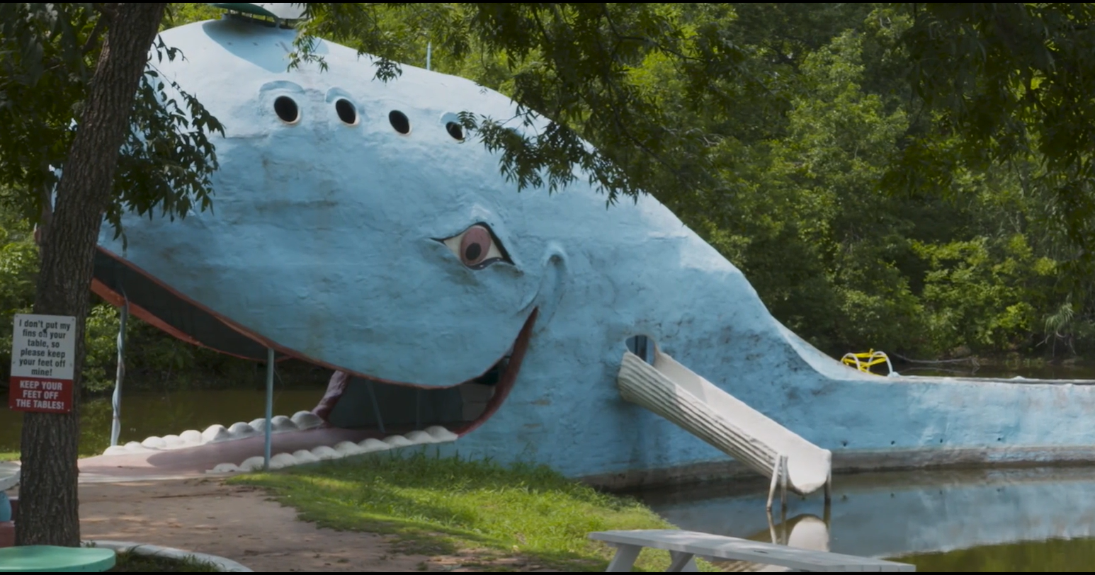 Baleine bleue - Magazine Camper