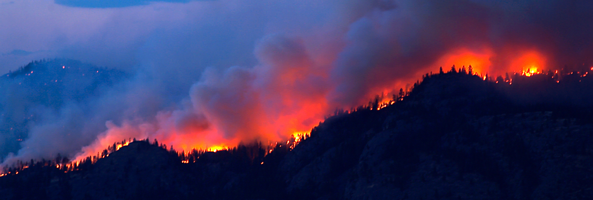 Bannière Feux de forêt