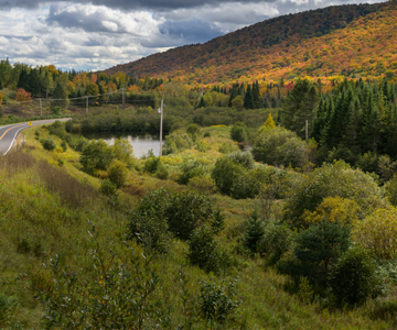 Une virée automnale à Hereford - Magazine Camper