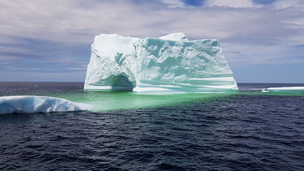 Terre-Neuve offre des paysages uniques, charmants, grandioses... - Magazine Camper
