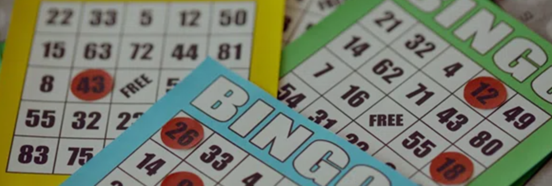 Bannière Participer-activités-camping